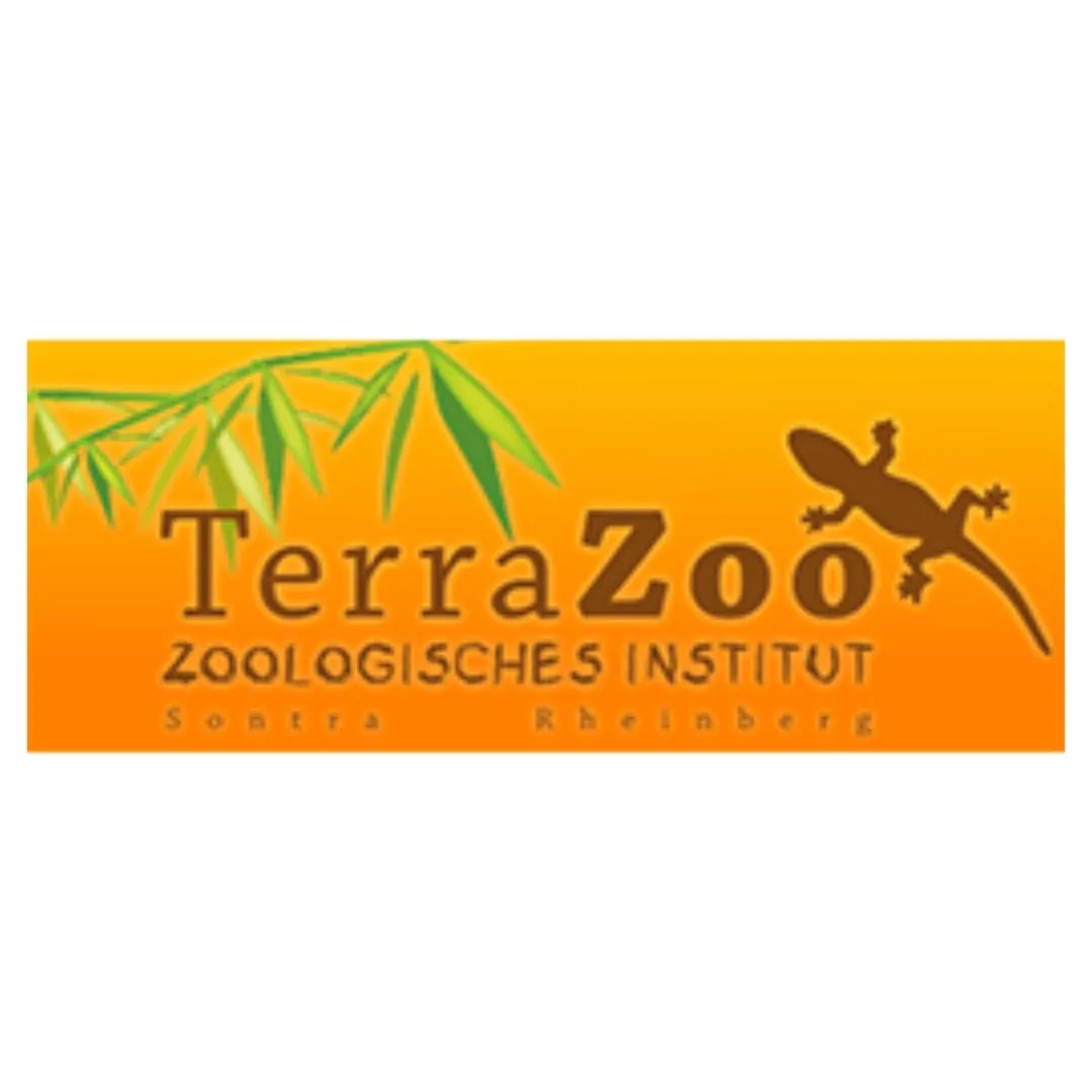 terrazoo