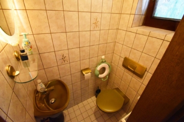 Gäste-WC - Endlich Eigenheim: Gepflegtes Reihenendhaus in traumhaft grüner Süd-Lage